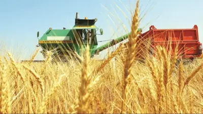 Үкімет: Қыркүйек соңында ауа райы астық оруға қолайсыз болады