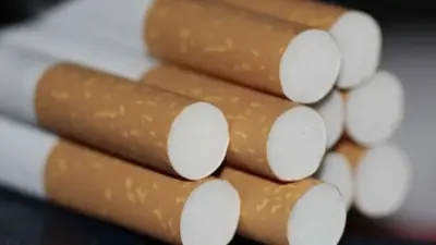 Абай облысында 1,5 млрд теңгеден асатын контрафактілік темекі өнімі жойылды