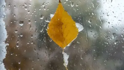 Қар жауып, тұман түседі: Қазақстанда 20 қарашада ауа райы қандай болады