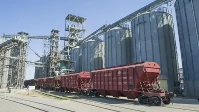 Қазақстан жаңа астықтың 9 млн тоннасын экспорттады: бұл былтырғы кезеңмен салыстырғанда 60%-ға көп