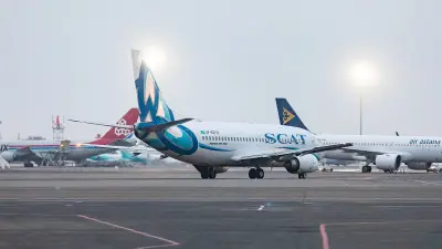 Шымкенттен Астанаға ұшып келген ұшаққа құстар соғылды: Жолаушылар қонақүйге жайғасты