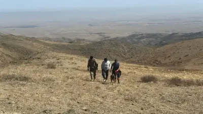 Жамбыл облысының тауларында 25 жастағы жігіт адасып кетті