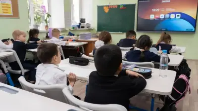 Астанада аязға байланысты бастауыш сыныптар онлайн оқуға көшті