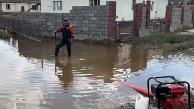 Жамбыл облысында толассыз жаңбырдан 700-ге жуық мал қырылды