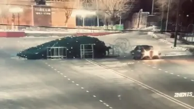 Сарыағашта көлігімен жаңажылдық шыршаны құлатқан жүргізуші ұсталды