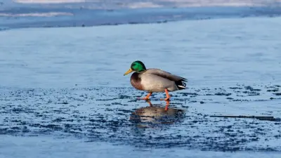 Жаңбыр, тұман, көктайғақ: 18 ақпанда Қазақстанның басым бөлігінде ауа райы құбылмалы болады