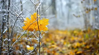 Үсік, жел, жаңбыр: 6 қазанда Қазақстанда ауа райы қандай болады