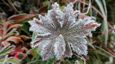 2 градус аяз: синоптиктер Алматы тұрғындарына ескерту жасады