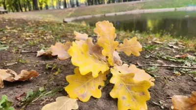 Жаңбыр, жел, аяз: 21 қазанда Қазақстанның басым бөлігінде күн ашық болады