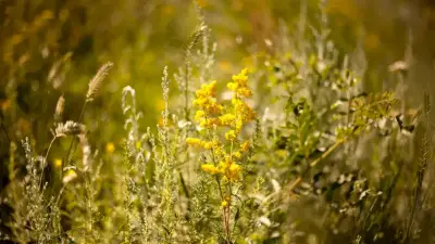 Жаңбыр, жел, найзағай: Қазақстанның бірқатар өңірінде дабылды ескерту жарияланды