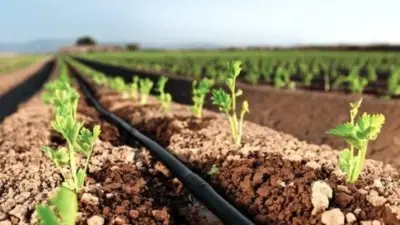 Биыл Қазақстанда шамамен 85 мың гектар жерге су үнемдеу технологиясы енгізілді