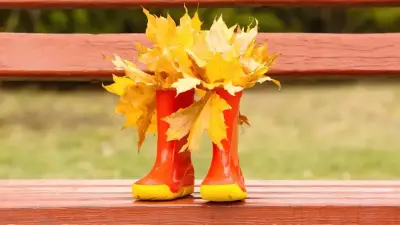 Жаңбыр, бұршақ, жел: 22 қыркүйекте Қазақстанда ауа райы қандай болады