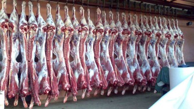 2 жылғы үзіліс: сиыр етінің алғашқы партиясы Қытайға экспортталды