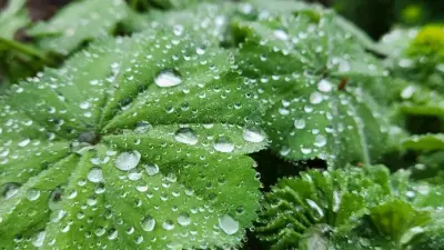 Жаңбыр, найзағай, бұршақ: 19 мамырда ауа райы қандай болады