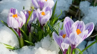 Қазақстан азаматтары наурыз айында 13 күн демалады