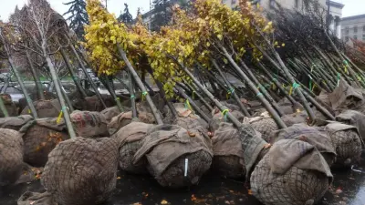 Алматыда 2030 жылға дейін қосымша 1,3 миллион ағаш пен бұта егу жоспарланып отыр