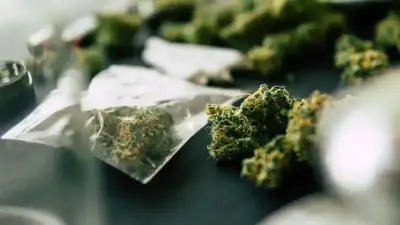 Үкімет есірткі қылмысымен күресу үшін республикалық штаб құрды