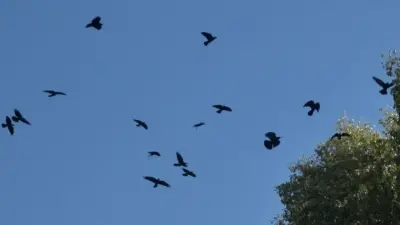 Жаңбыр, бұршақ, жел: 2 қыркүйекке арналған ауа райы болжамы жарияланды