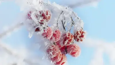 Қар, жел, көктайғақ: 8 қаңтарда Қазақстанда ауа райы қандай болады