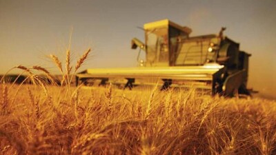 Үкімет ауыл шаруашылығын қаржыландыру үшін 580 миллиард теңге бөлді