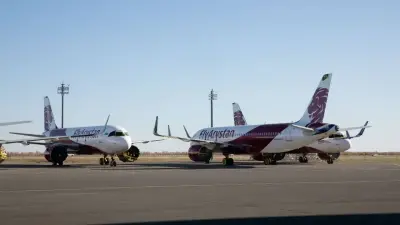 Шымкент әуежайында ұшақ итті қағып кетті: тексеріс жүріп жатыр