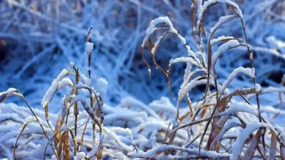 Қазақстанның 16 облысында ауа райына байланысты дауылды ескерту жарияланды