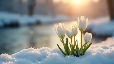 4 сәуірде қай өңірлерде ауа райына байланысты ескерту жасалды