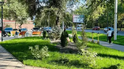 Алматының Алмалы ауданында тағы бір жасыл демалыс аймағы жаңартылып жатыр