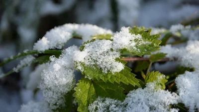 Тұман, жел, көктайғақ: 31 қазанға арналған ауа райы болжамы