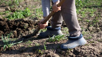 Солтүстік Қазақстан облысында екі қылмысқа күдікті азамат өзі қазған жерге жасырынған