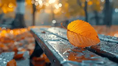 Аяз, үсік, жаңбыр: 1 қазанға арналған ауа райы болжамы жарияланды 