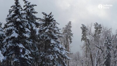 Тұман, боран, көктайғақ: синоптиктер бірқатар өңірде дауылды ескерту жариялады