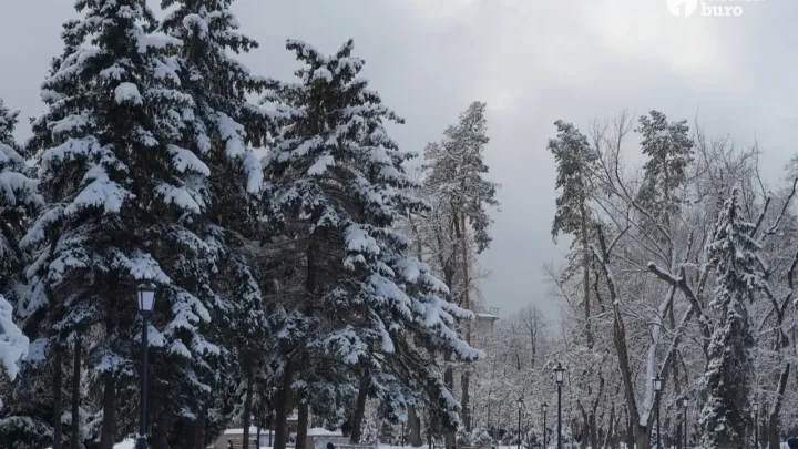 Қар жауып, аяз болады: Қазақстанның 16 өңірінде дауылды ескерту жарияланды