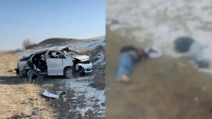 Алматы маңында үндістандық студенттер мінген көлік апатқа ұшырады: қылмыстық іс қозғалды
