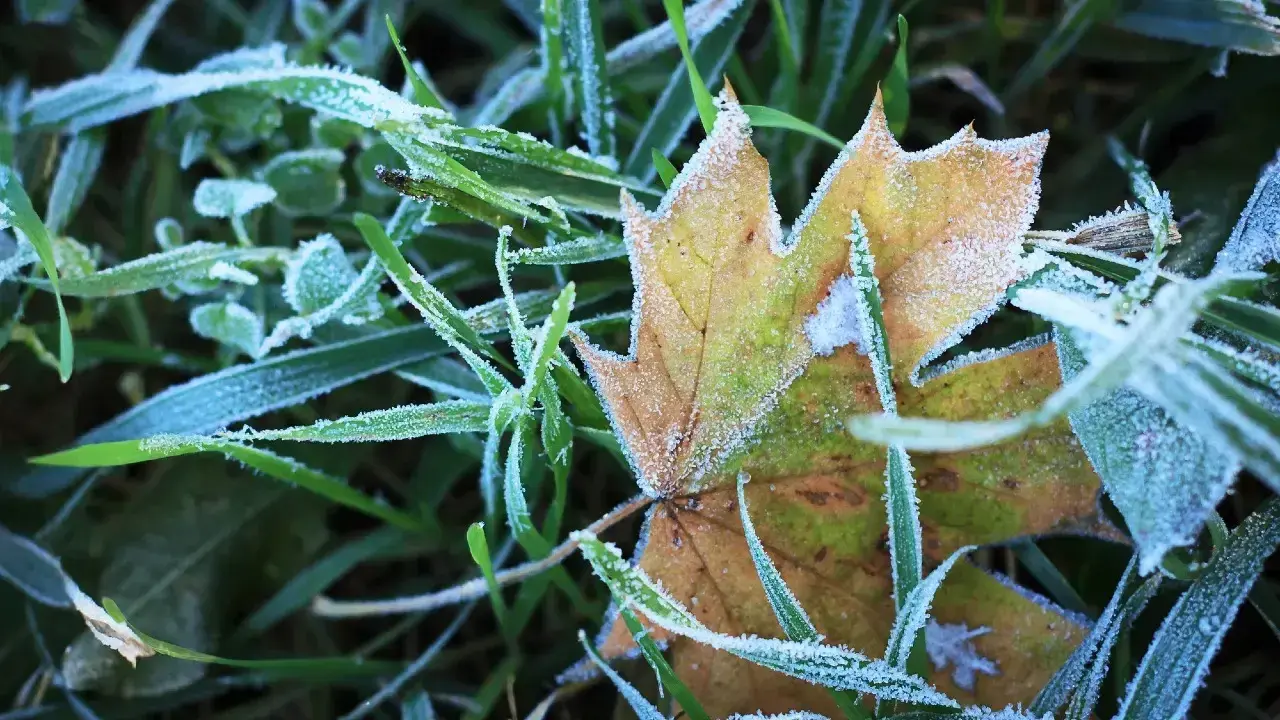 Порно жұлдыз Пятигорск HD порно түсірілді