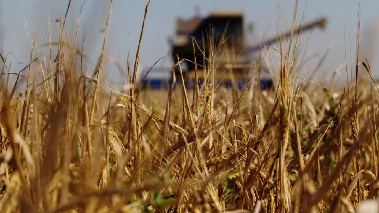 Фото Depositphotos.com