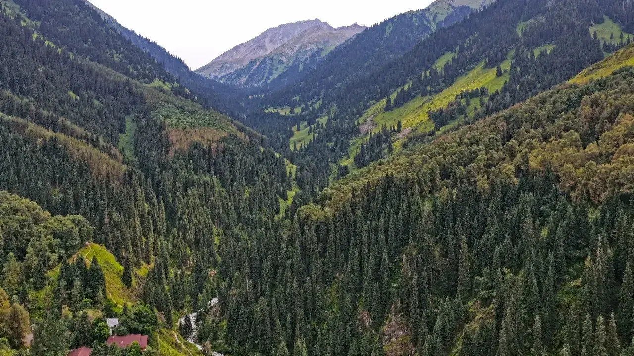 Фото Depositphotos.com