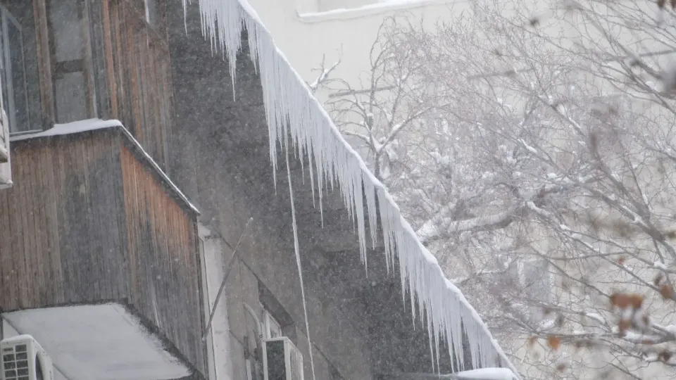 Фото: Алматы әкімдігі