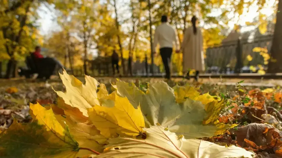 Фото: Алматы әкімдігі