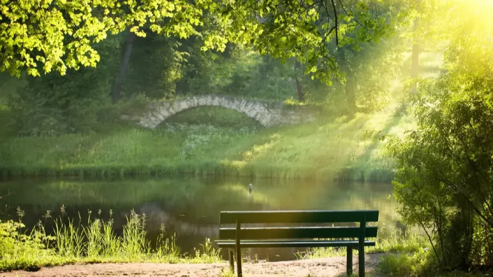 Фото Depositphotos.com