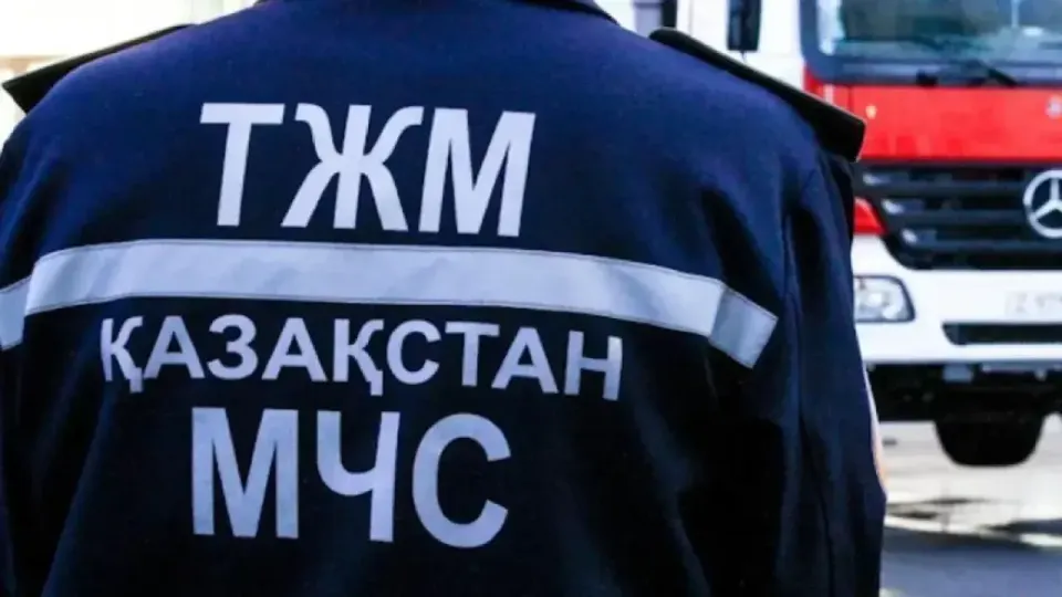 Фото: ТЖМ