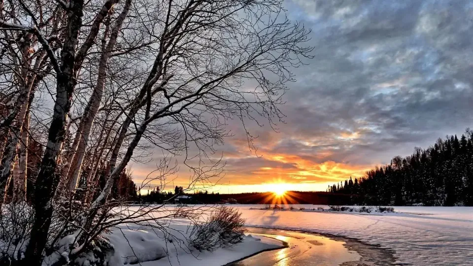 Фото: pixabay.com