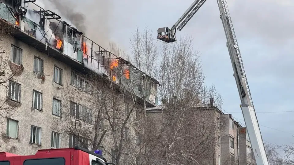 Фото: ТЖМ