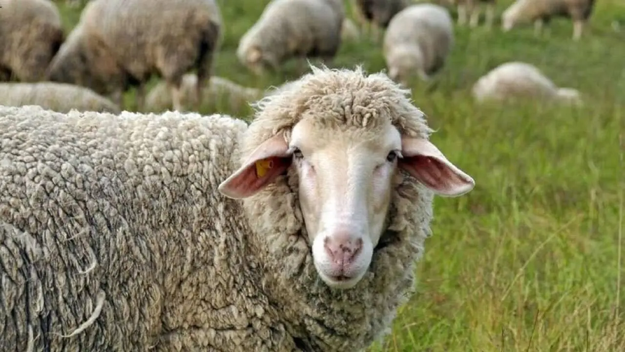 Фото Depositphotos.com