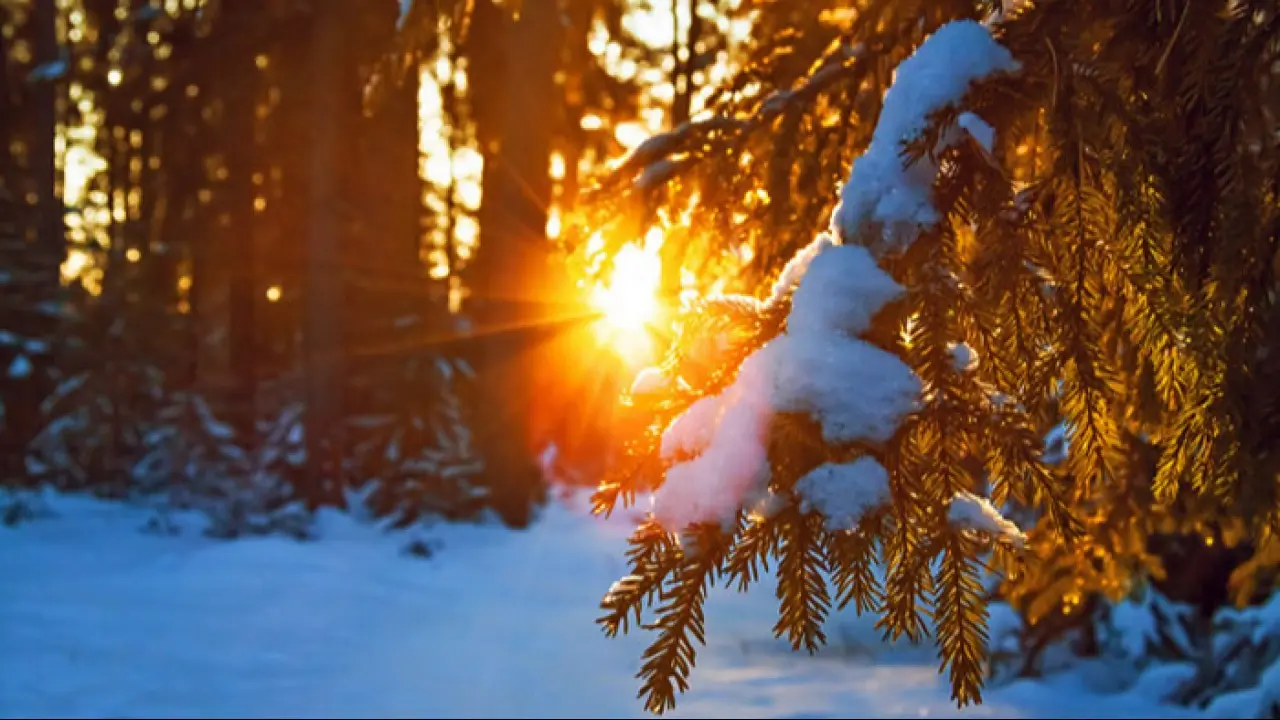 Фото Depositphotos.com