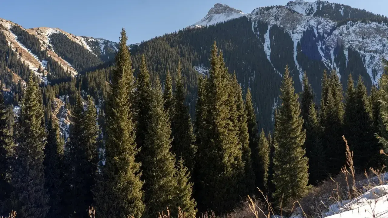 Фото: Informburo.kz