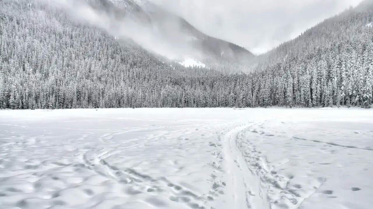 Боран, аяз, көктайғақ: 19 қаңтарда Қазақстанда ауа райы қандай болады