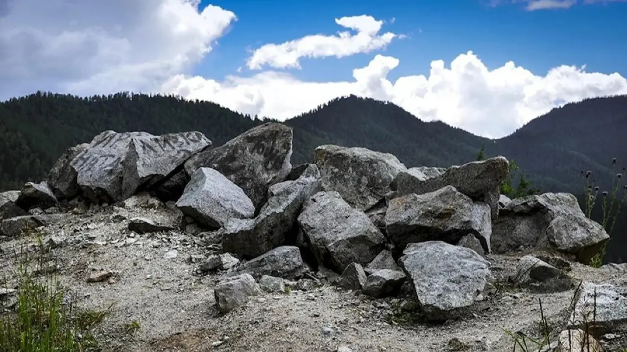 Фото: kotsport.ru