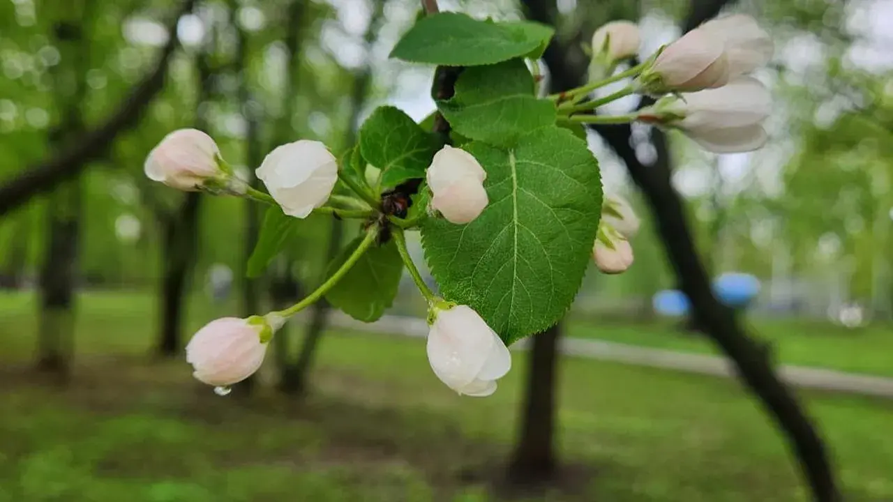 Фото Depositphotos.com