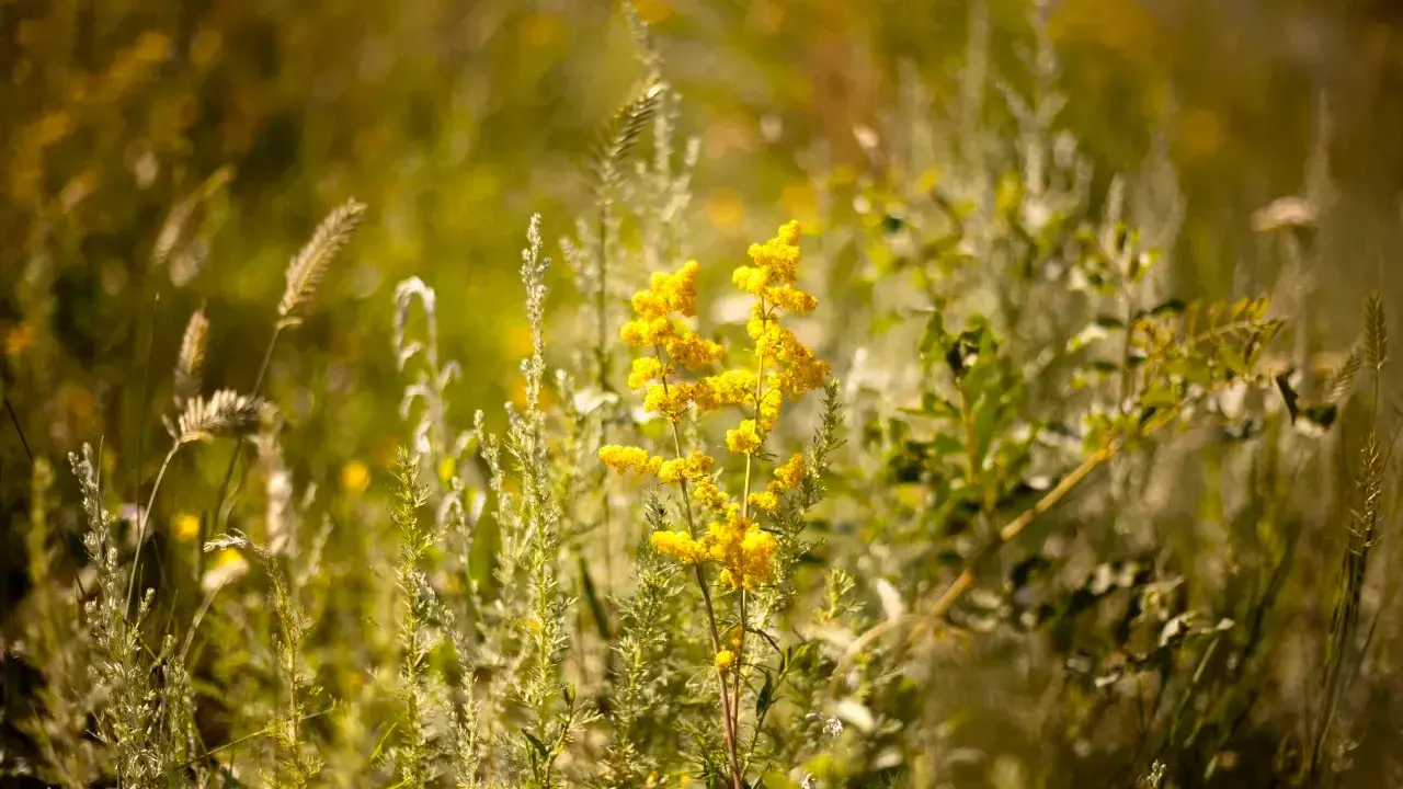 Фото Informburo.kz